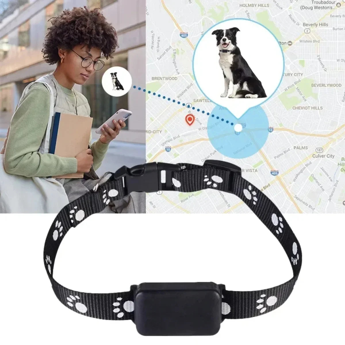 Traceur GPS pour Chats & Chiens – Collier Localisable en Temps Réel