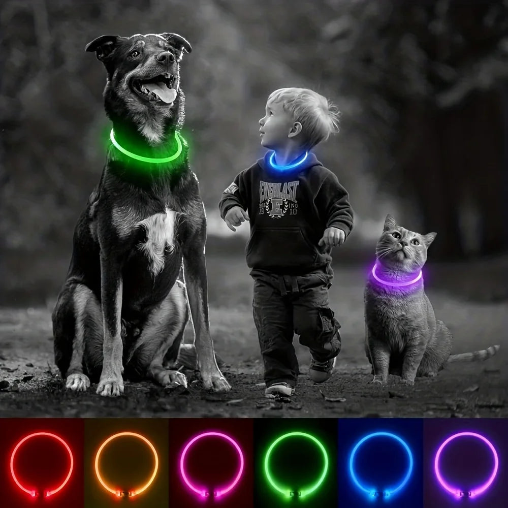 Collier LED Lumineux Rechargeable Anti-Perte pour Chien