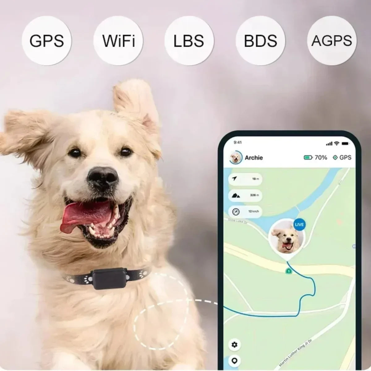 Traceur GPS pour Chats & Chiens – Collier Localisable en Temps Réel