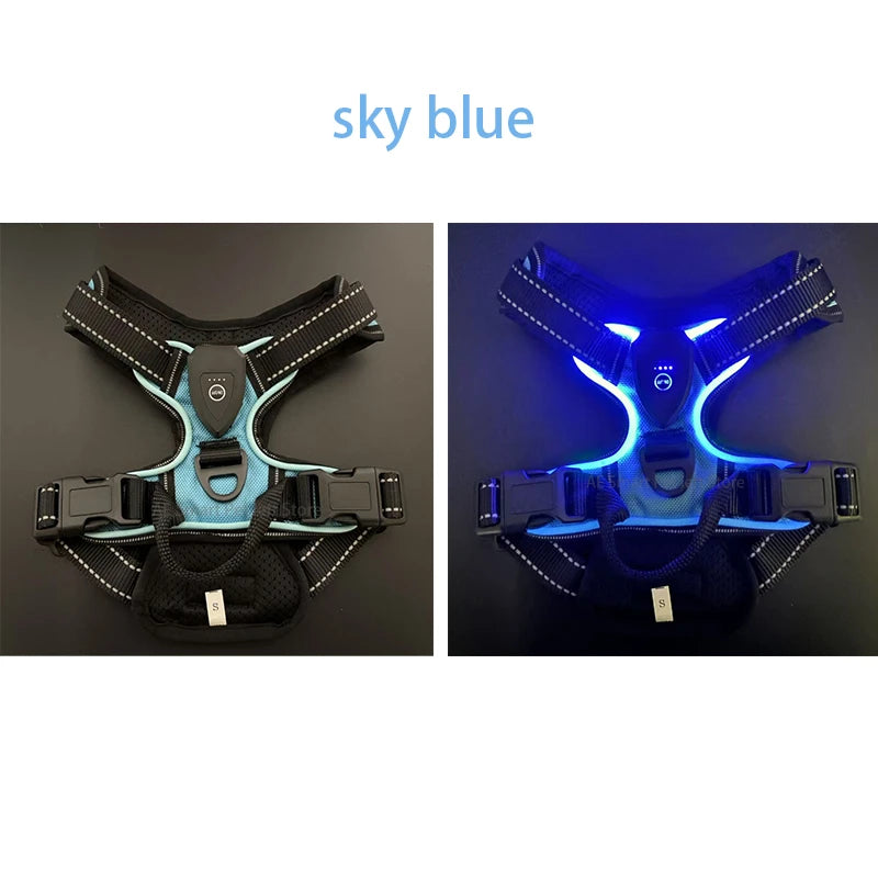 Harnais LED Lumineux pour Chiens – Anti-Traction et Réglable