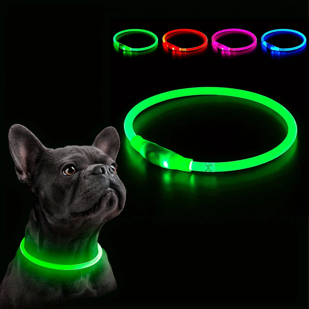 Collier LED Lumineux Rechargeable Anti-Perte pour Chien